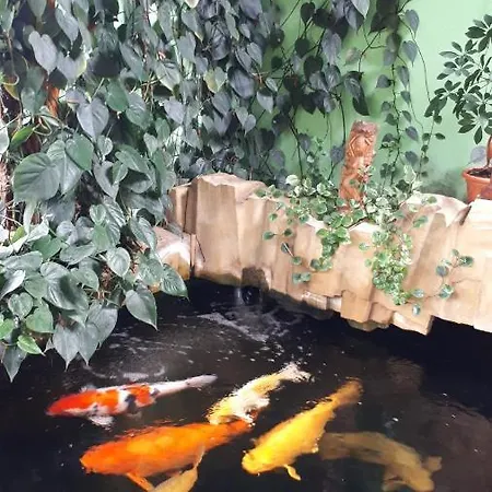 דירה Apartman Koi Veltrusy