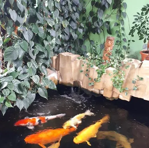 Apartment Koi Veltrusy