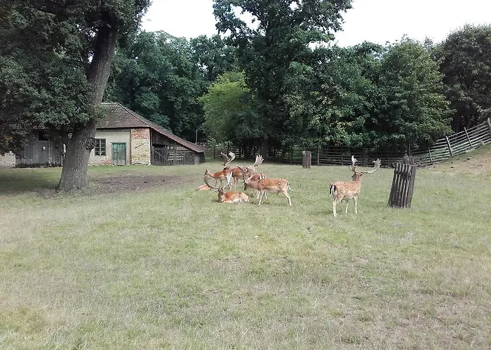 Apartment Koi Veltrusy